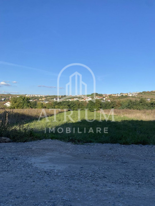Teren intravilian cu suprafta de 8000 mp , Mera