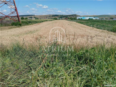 Teren intravilian cu suprafta de 5100 mp ,posibilitate constructie hala