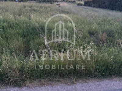  Teren ,intravilan, industrial, posibilitate constructie Hale
