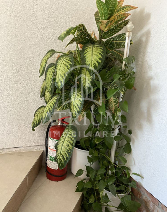 Apartament cu 1 camaera de inchiriat!