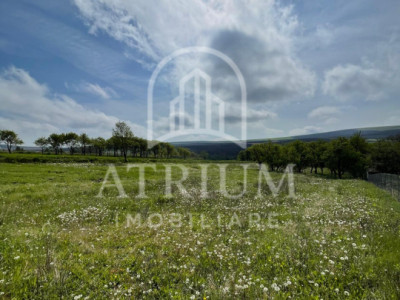 Teren extravilan 2900 mp posibilitate constructie hala Sanicoara