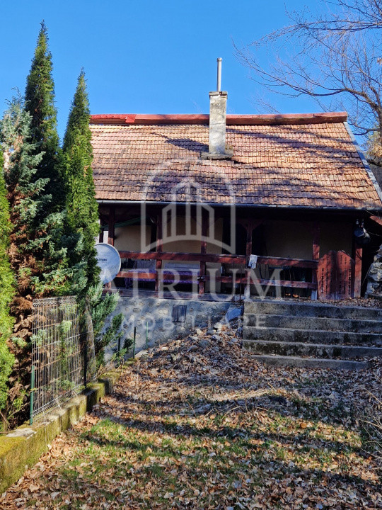 Cabana/Casa de vacanta la munte zona Tarnita