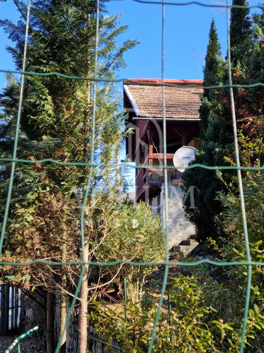 Cabana/Casa de vacanta la munte zona Tarnita