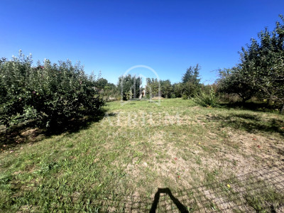 Teren intravilan, zonat Lombului