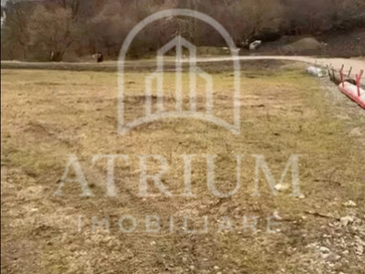   teren intravilan 2500 mp Grigorescu