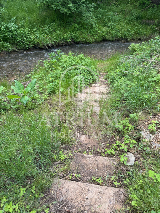 Teren intravilan , suprafata de 3000 mp,Vlaha, 