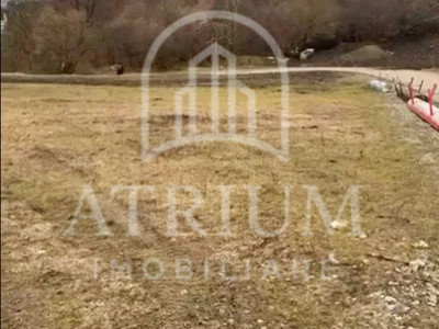 Teren intravilan , suprafata de 3000 mp,Vlaha, 