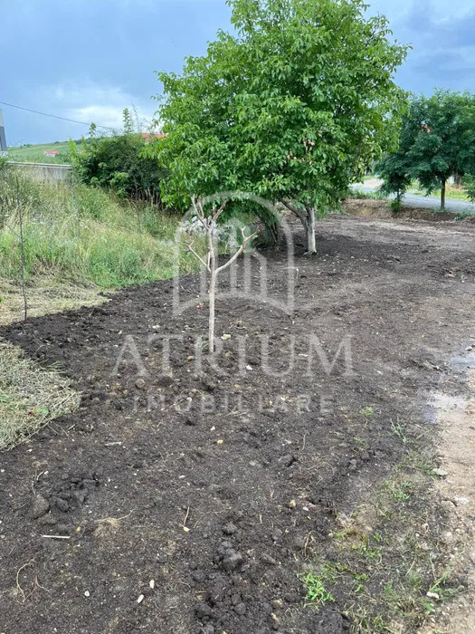  Teren intravilan suprafata de 781 mp in Dezmir