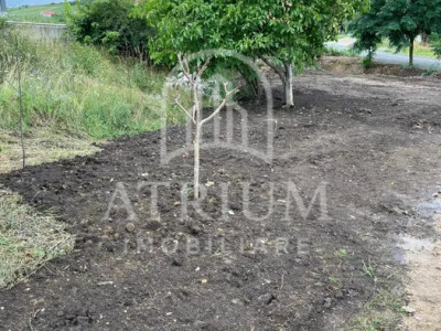  Teren intravilan suprafata de 781 mp in Dezmir