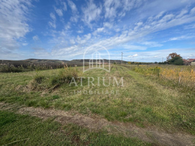 Teren extravilan 2900 mp posibilitate constructie hala Apahida