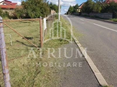 Teren intravilan cu Puz aprobat,suprafata de 1000 mp, Becas