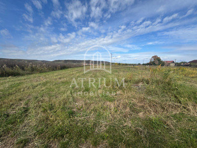 Teren intravilian cu suprafta de 1000 mp ,Puz in lucru zona Becas