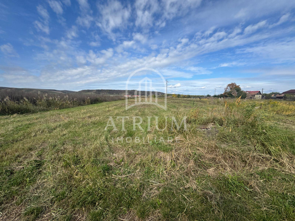 Teren extravilan  27000 mp Becas in apropierea viitoarei centuri Metropolitane