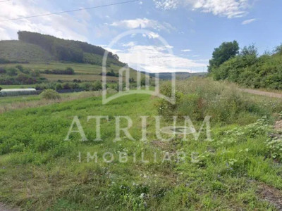 Teren cu suprafata de 5800 mp de vanzare Floresti autorizat pentru 5 duplexuri 