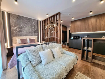 Apartament cu o cameră de închiriat, Zorilor