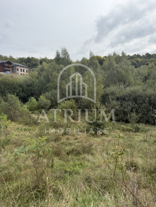 Teren 971 MP, intrare Salicea cu autorizație , Casa Individuală