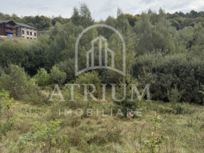 Teren 971 MP, intrare Salicea cu autorizație , Casa Individuală